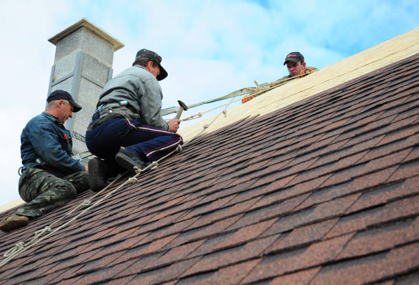 Quick and Trustworthy Emergency Roof Repair Services in Fairview, TX