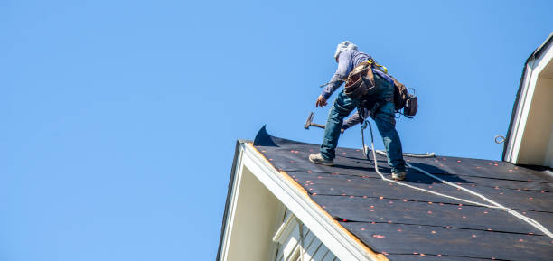 Roof Gutter Cleaning in Fairview, TX